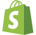 Techbigin Shopify website development services in ambala cantt